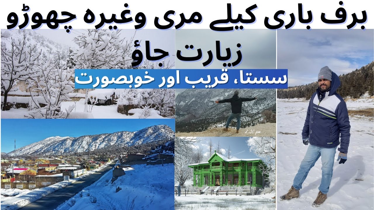 ziarat tour guide