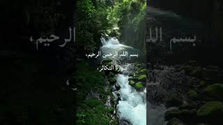 Download Lagu Surat altakatur #quranrecitation #qurantilawat #quranverses #relaxing #sule #religion #islam MP3 Download Lagu Surat altakatur #quranrecitation #qurantilawat #quranverses #relaxing #sule #religion #islam MP3