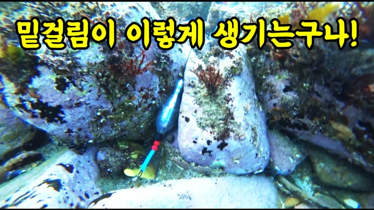 밑걸림이 생기는이유 수중영상다큐freediving-FOX☆TV