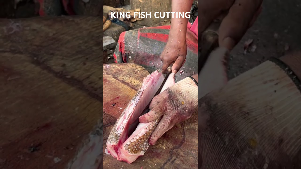 KASIMEDU SPEED SELVAM FISH CUTTING VIDEO 