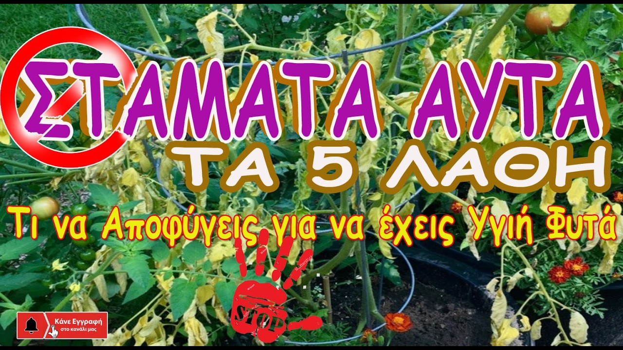 Τα 5 Πιο Συχνά Λάθη στην Καλλιέργεια Κήπου & Μπαξέ!