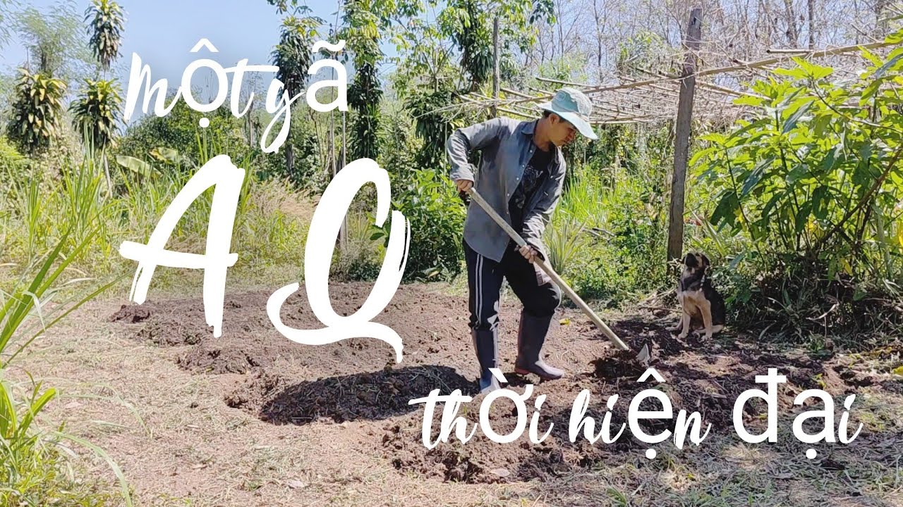 Cách Mình Đối Mặt Với Những Trắc Trở Liên Tiếp Trong Cuộc Sống