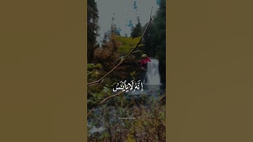 وَلَا تَيْأَسُوا مِن رَّوْحِ اللَّهِ ۖ  - القارئ طارق محمد