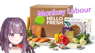 Vtuber EXPOSES Hello Fresh
