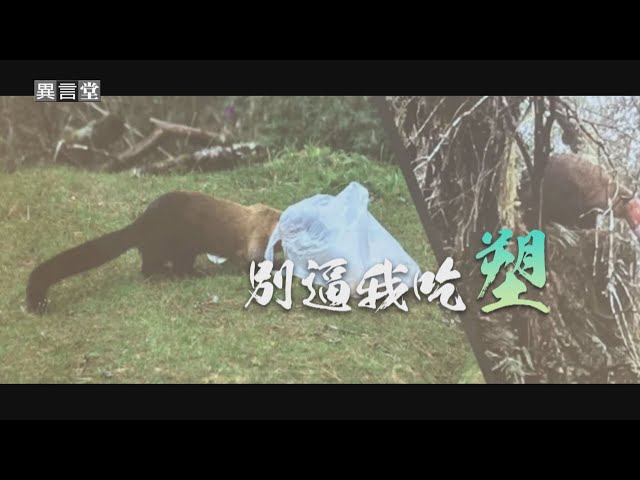 【民視異言堂】別逼我吃塑(上)