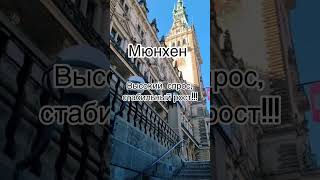 19 ноября 2024 г.