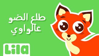 طلع الضو عالواوي 🐺  ليلا تي في