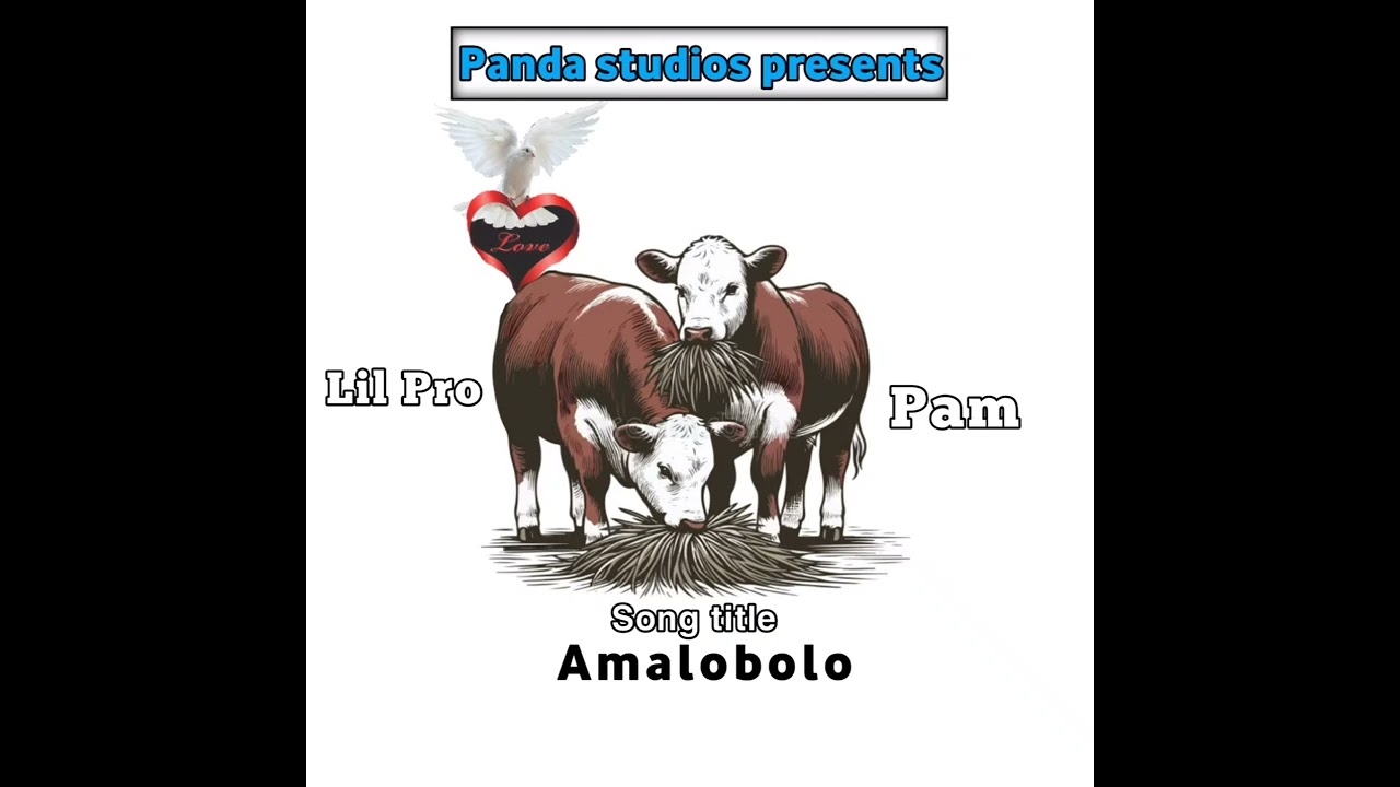 Amalobolo ft Pam 