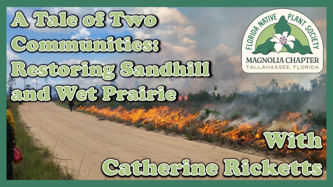 FNPS Magnolia Chapter - April 2025 Meeting: Catherine Ricketts