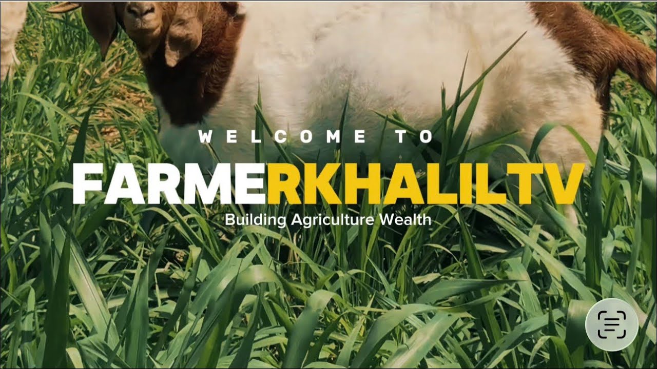 Higgins Proud Goat Farmer 