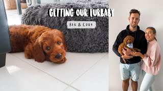PICKING UP OUR FURBABY - preparation, welcoming him home & pup naps bed review
