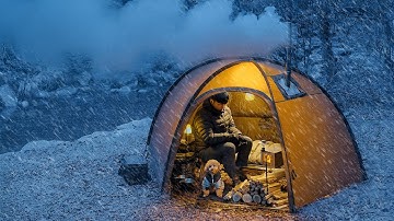 Winter Camping in the Snow with My Dog . Hot Tent . Wood Stove ASMR