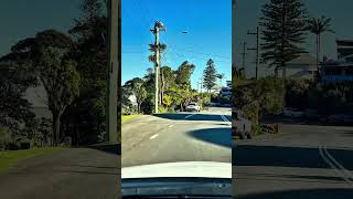 Wombarra in NSW, Australia 🇦🇺.