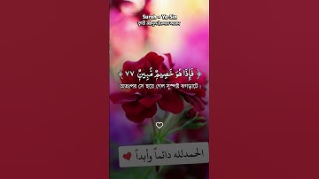 #قرآن سورة ياسين #اكسبلور