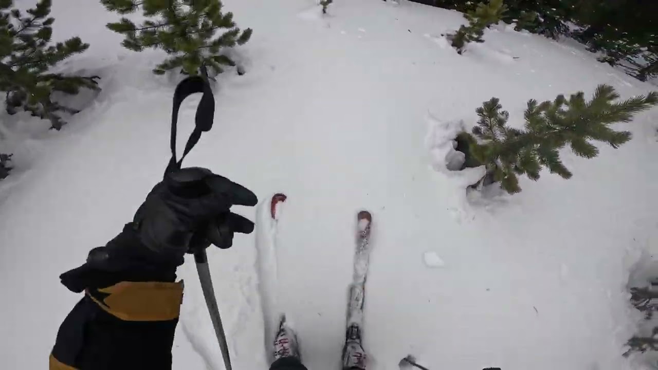 Skiing at Showdown Mt | 2/14/26