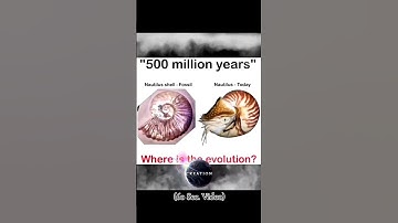 Evolutionist, where are the transitional forms?   #evolutionarybiology #science