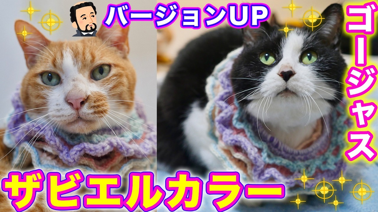 まあたねこを Amazon.co.jp: ねこを描く : リカ&ピズ, 金智恵: 本