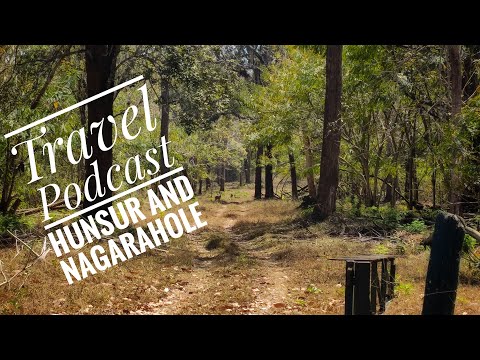 Travel Podcast | Hunsur and Nagarahole | Episode 3 #wanderingsoul #travelstories #hunsur #nagarahole
