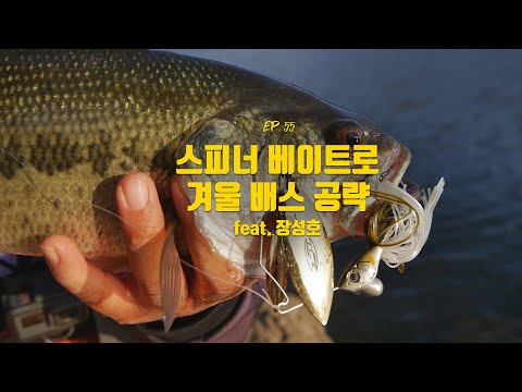 [박기현의 피싱로그99.9] #55 스피너 베이트로 겨울 <strong>배스</strong> 공략!! (feat. <strong>장성호</strong>)