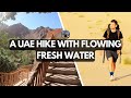 This Wadi Shees trail in Khor Fakkan is an amazing oasis in the desert | United Arab Emirates