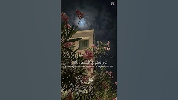 قران كريم💕✨#قرآن #المصحف #راحة_نفسية #الرحمن #قرآن