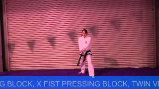 2 step sparring