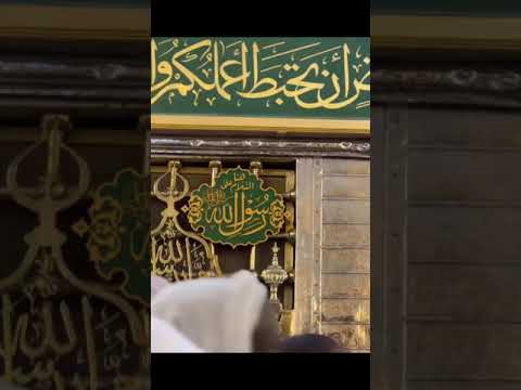 يارسول الله قل عن صفيتك صبري