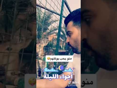 غزال الريم اجواد انوع الغزلان