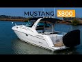 Mustang 3800 le sports cruiser  boat promote starter package