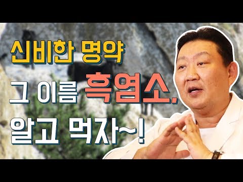 변비에좋은유산균