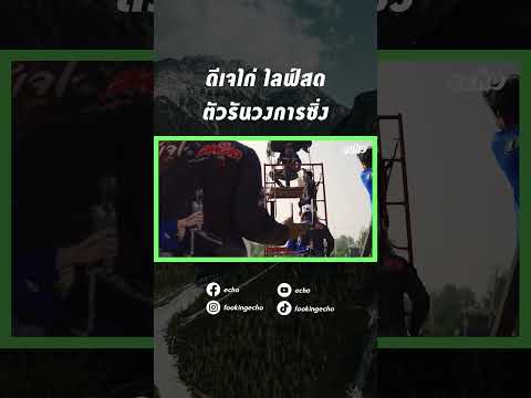 ดีเจไก่ ไลฟ์สด ตัวรันวงการ | echo