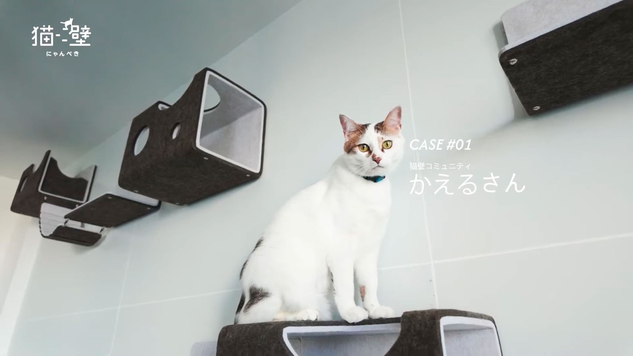 マグネット式キャットウォーク 猫壁－にゃんぺき 【LIXILオンライン