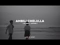 Ambili chelulla ambar manamulla  new full song  lofi  forzen music