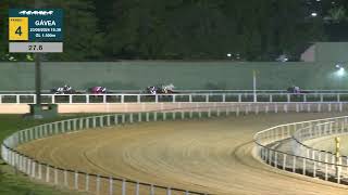 Vidéo de la course PMU PREMIO QUELF