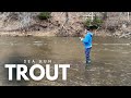 Sea Run Trout fishing Challenge (Very Difficult)