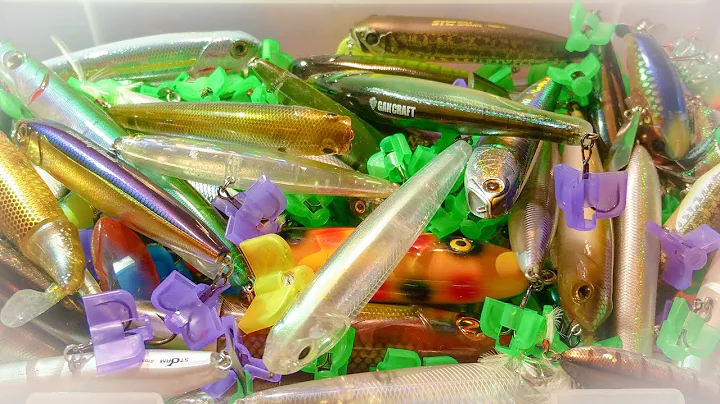 Which Topwater Baits Should You Fish?  Ft. Eric Co...