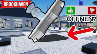 Ich habe 50 MYTHEN/SECRETS IN BROOKHAVEN GEPRÜFT! Wahr oder Falsch? [Roblox Brookhaven 🏡RP] screenshot 3