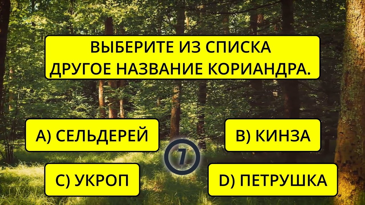 Только 5 % умнейших ЭРУДИТОВ ответят хотя бы на 15 вопросов