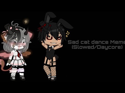 Sad cat dance Meme (Slowed/Daycore)