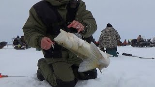 БЕШЕНЫЙ КЛЁВ СУДАКА ВЕСНОЙ 2021! Попал на "ХАПОК" СУДАКА на ОБСКОМ ВОДОХРАНИЛИЩЕ!