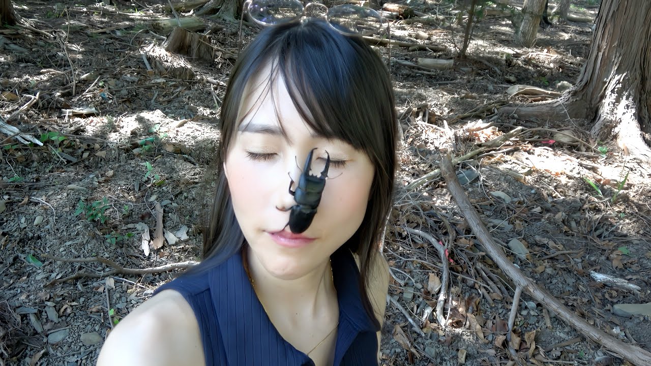 超過酷】日本一でかいツシマヒラタクワガタを求めて対馬遠征ノン