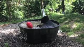Oso Bañándose En Un Jacuzzi