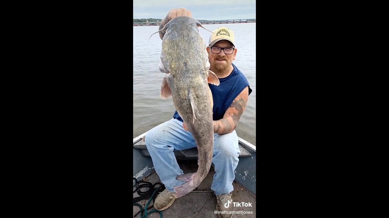 Big Catfish with Planer Boards