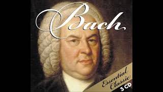 Famous Hooked On Bach as a Fish On Orchestra Net Worth