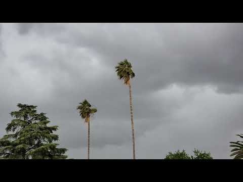 Thunderstorm Moving In, Windy Outflow South To SSE Winds 4:39pm May 2, 2023