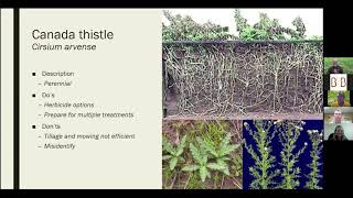 Barnyards & Backyards Live! - Controlling difficult weeds