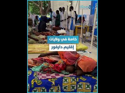 مع تدهور المنظومة الصحية بسبب الحرب حمى الضنك وأمراض أخرى تستمر في الانتشار في السودان