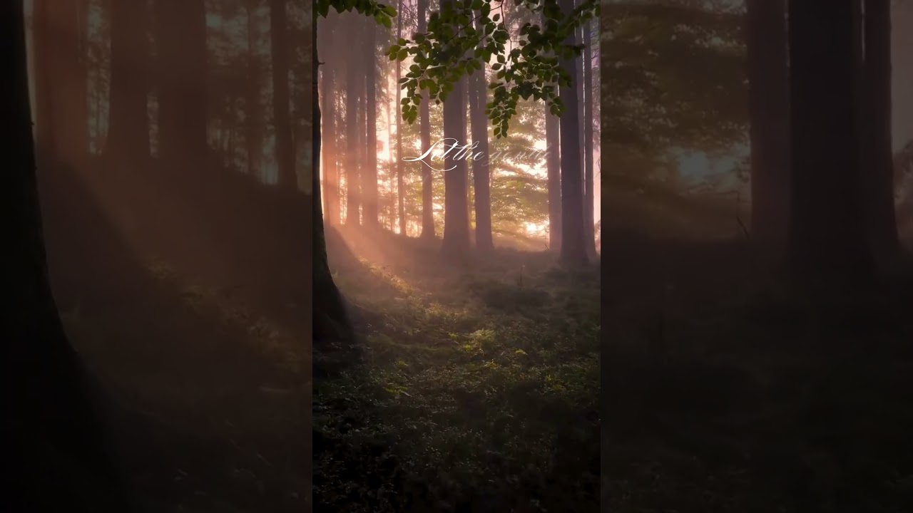 Choosing Peace Over Stress 🌿 | Find Your Calm on The Calming Isle