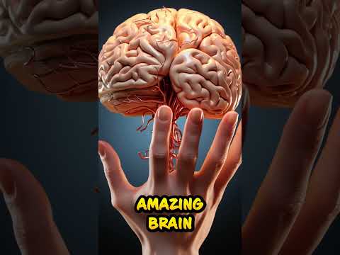 Alzheimer's Reversal & Prevention Strategies!