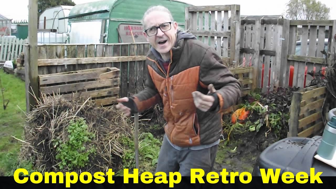 Неделя ретро-компостной кучи: посев лука, чеснока, бобов и цветочных луковиц